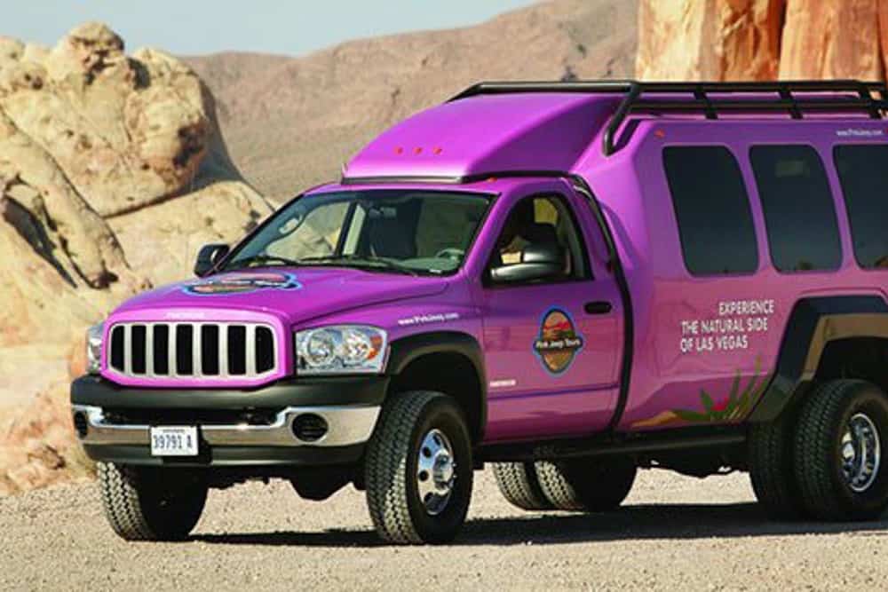 Pink Jeep-15