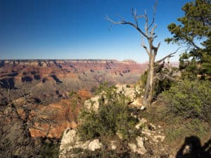 Mather Point