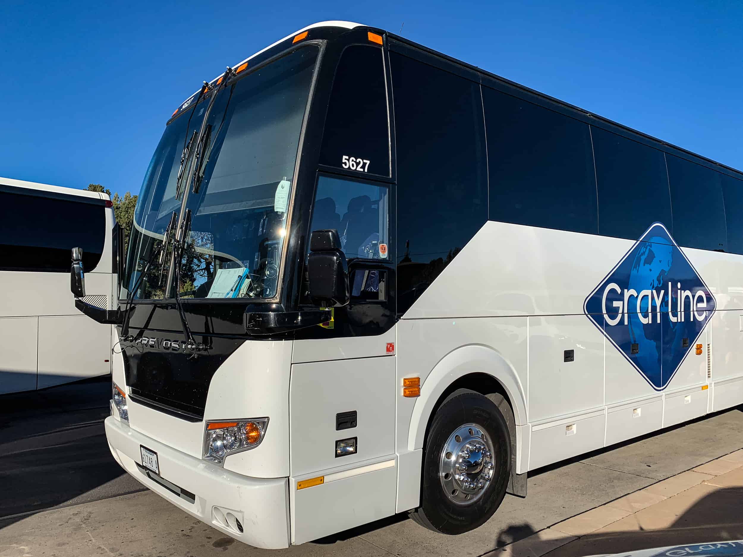 gray line tour bus